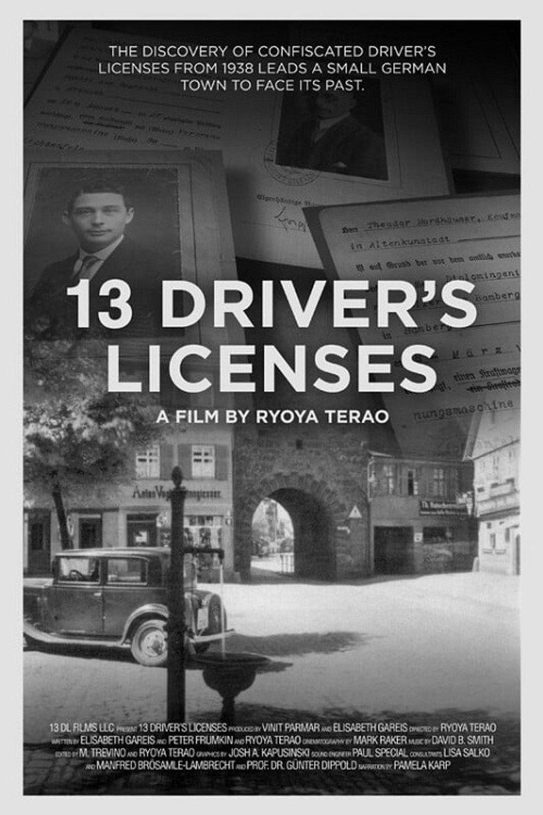 13 Driver's Licenses background