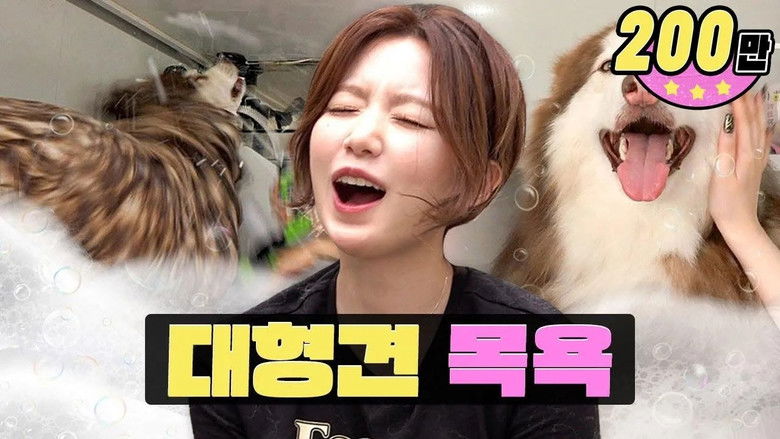 Still image for worK-dol season 1 episode 10: The dog is too big, too hard to bathe😣ㅣBathing big dogs ㅣWorK-dol ㅣShuhua