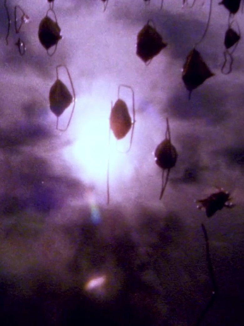 Imatge de Hiroshima - Nagasaki