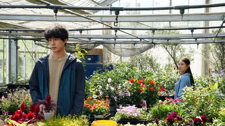 Image d'arrière-plan 3 du film 盤上の向日葵