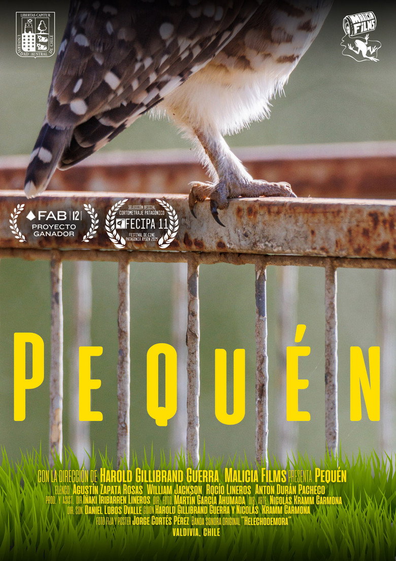 Pequén