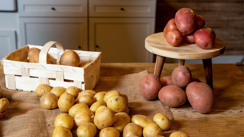 Still image for Escuela Canal Cocina season 1 episode 13: Episode 13