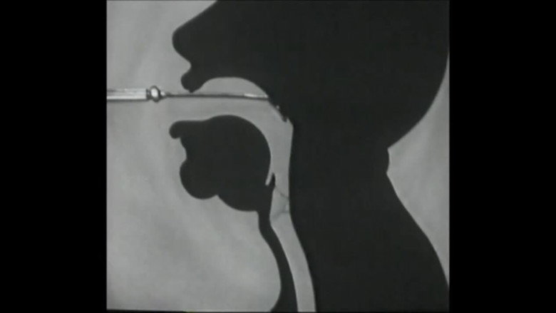 Imatge de Voice Production: The Vibrating Larynx