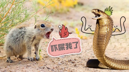 Still image for Dawn to Dusk season 1 episode 8: Episode 8