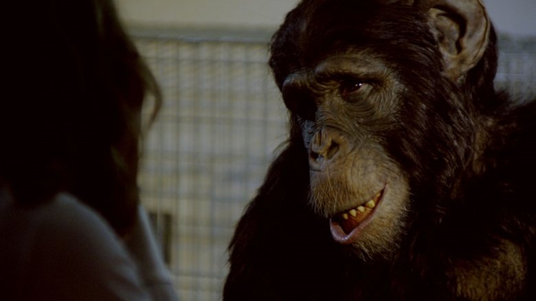 Amazing Ape (2017)