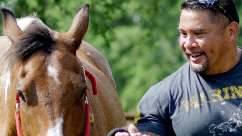 Where the Horses Heal the Soul 2