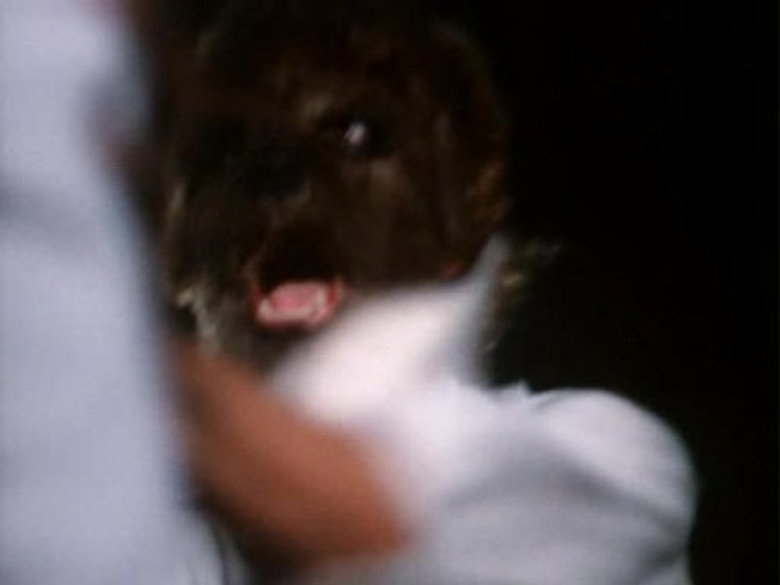 Still from Kolchak: The Night Stalker - Season 1 Episode 5