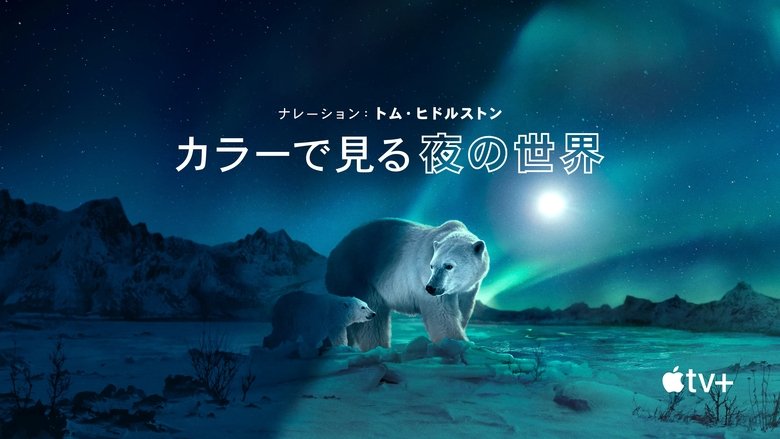 Gallery image from u8tpcuP6gj3FElwtxoYQvkPAsi9.jpg