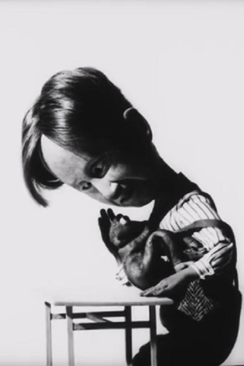 Imatge de Vennad ja õed