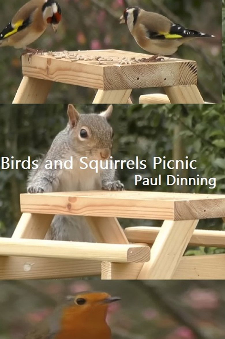 Imatge de Birds and Squirrels Picnic