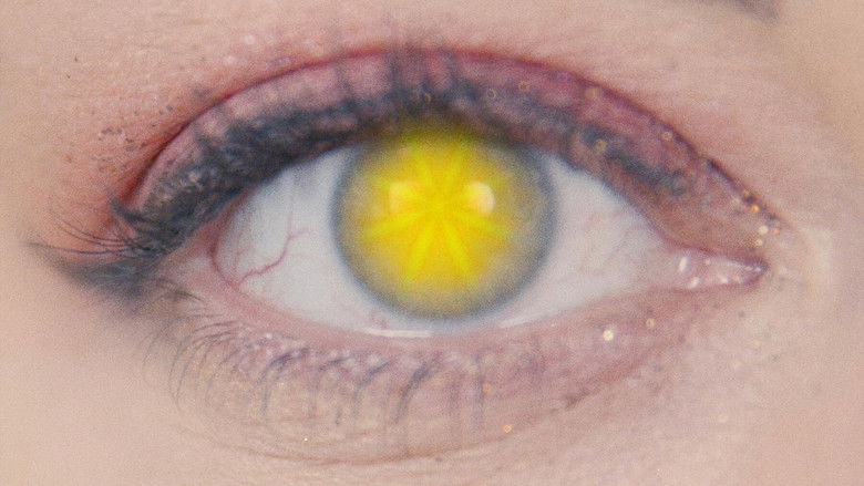 Imatge de Close-Up: an oddyssey