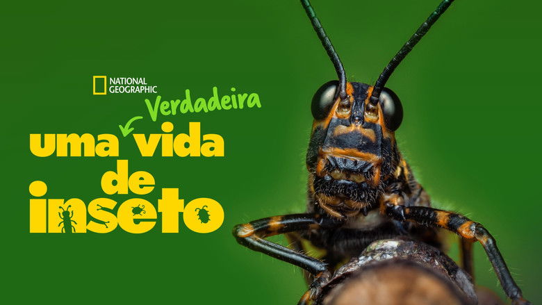 Gallery image from u9wtmyMROrvq44T8fOuVFHC8Bo0.jpg