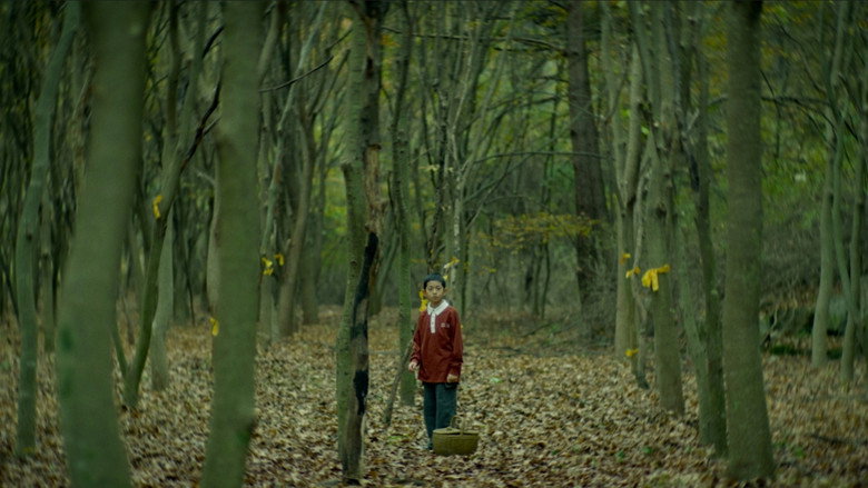 Gallery image from uA8kAnGYOtWEcSD3Y1Mk4XmBX1d.jpg