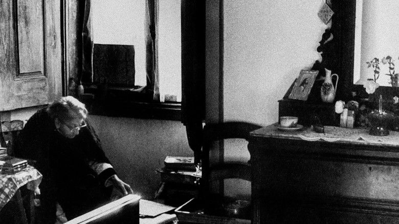 Gallery image from uAKLJt2SCKeMiGBwwJWrScFZD1y.jpg