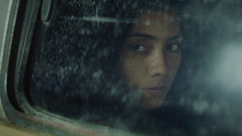 Cadejo Blanco image 7