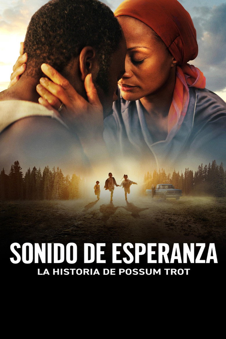 Póster la Película