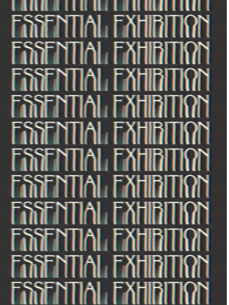 Imatge de Essential Exhibition