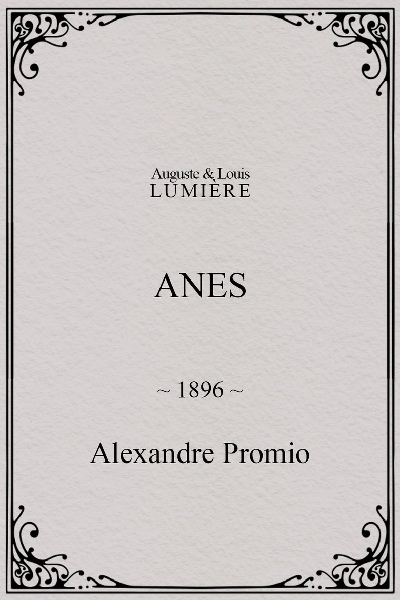 Anes main poster