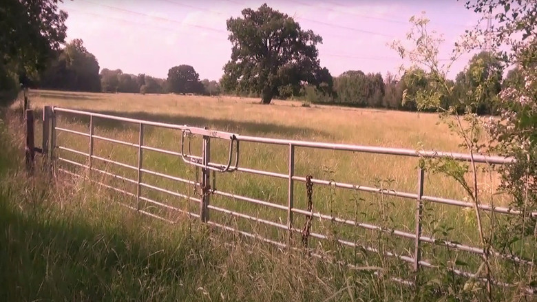 Gallery image from uCFj5mis5SSNNKWHYgsKjpLp9z6.jpg