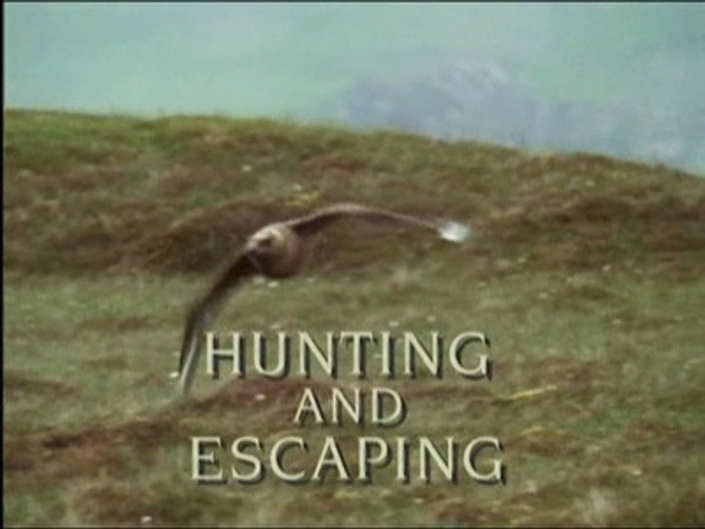 Still from Trials of Life - Season 1 Episode 4