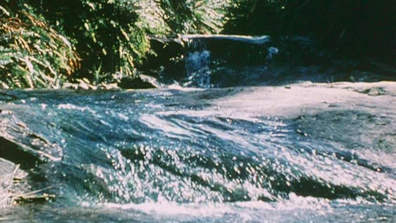 Imatge de Australian Bush