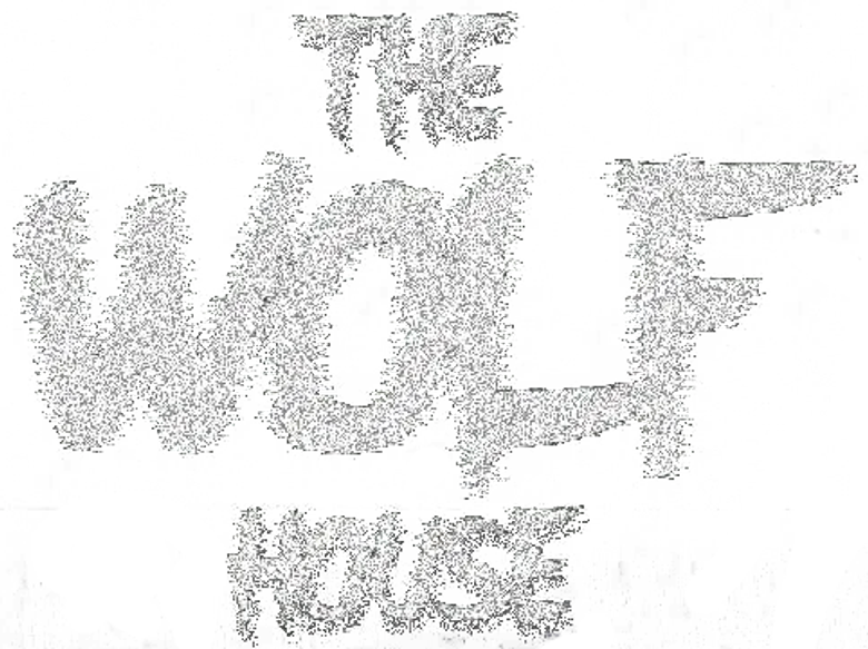 Imagen de La casa lobo