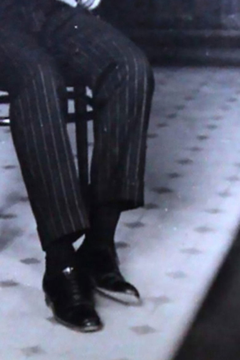 Imatge de El perro negro