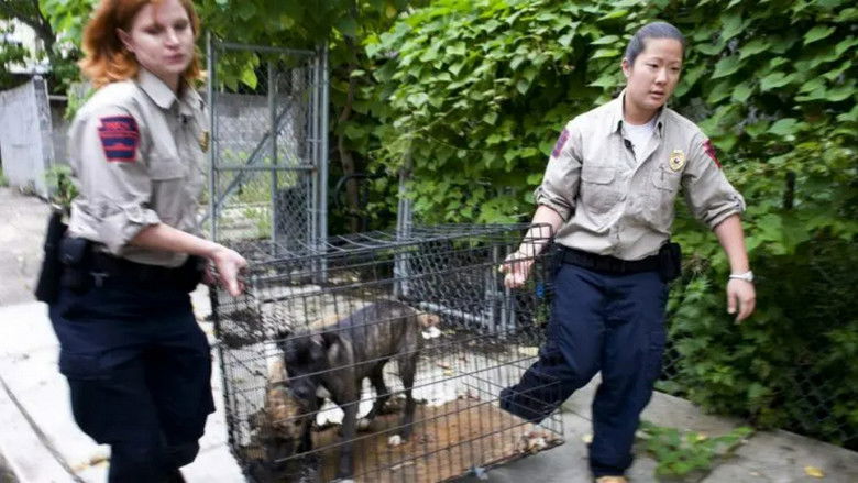 Still image for Animal Cops: Philadelphia season 1 episode 2: Midnight Raid