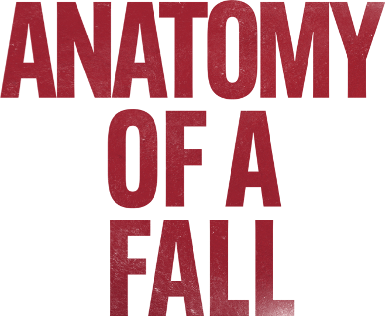 Imagen de Anatomía de una Caída