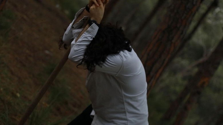 Imatge de Phantasmagoria - Mirage au Sol