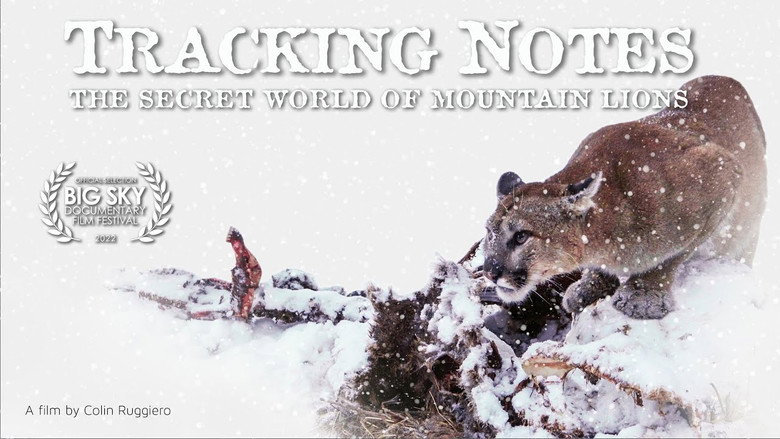 Fons de Tracking Notes