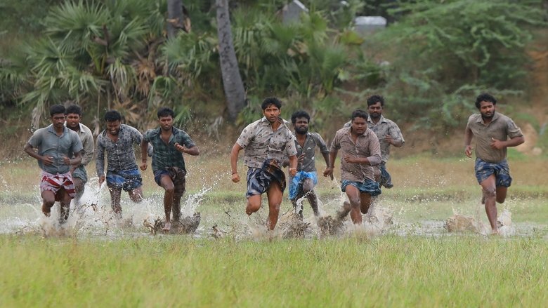 Bison Kaalamaadan