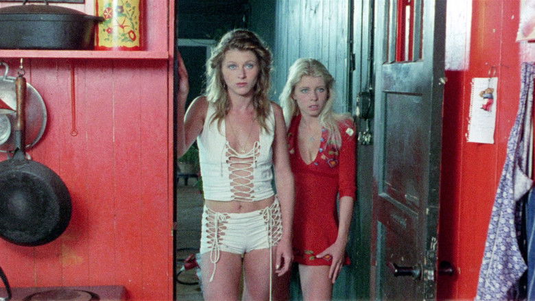 My Nights with Susan, Sandra, Olga & Julie Photo 9