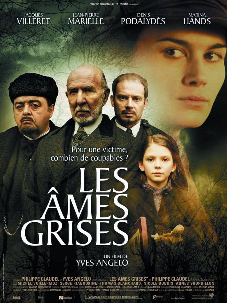 Les Âmes grises (2005)