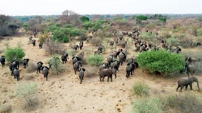 Still image for Mission : sauver le monde sauvage season 1 episode 2: Episode 2