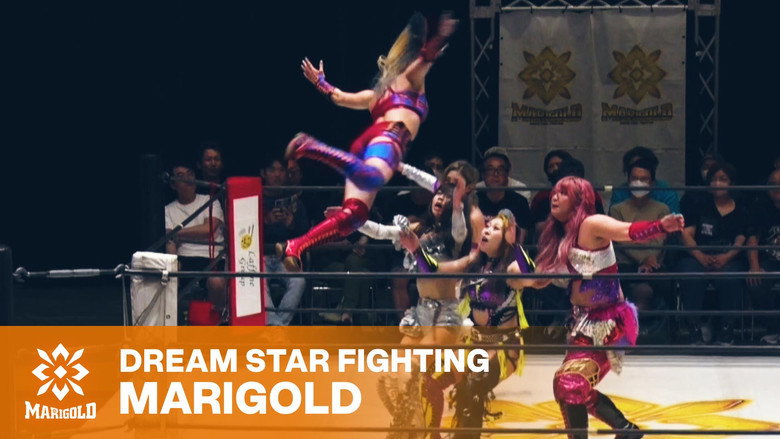 Imatge de Marigold Shining Attack 2026 ~ Day 13