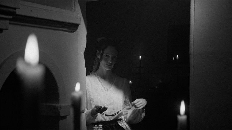 Gallery image from uH71KM7FPluCr6LmLdi6vyvr8qK.jpg