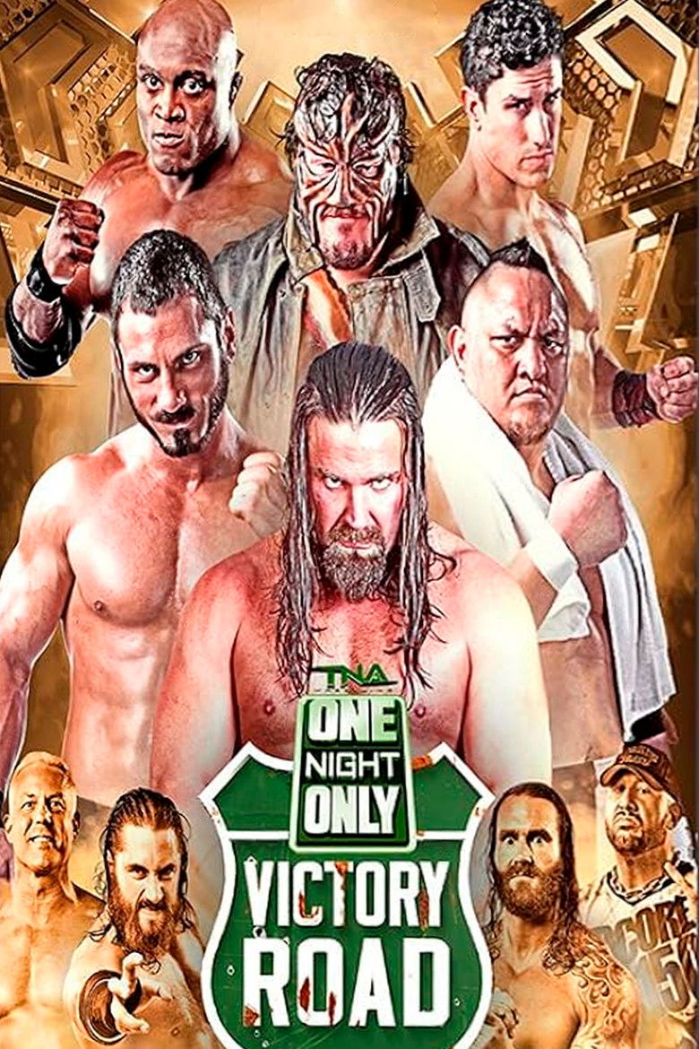 Imatge de TNA One Night Only: Victory Road 2014