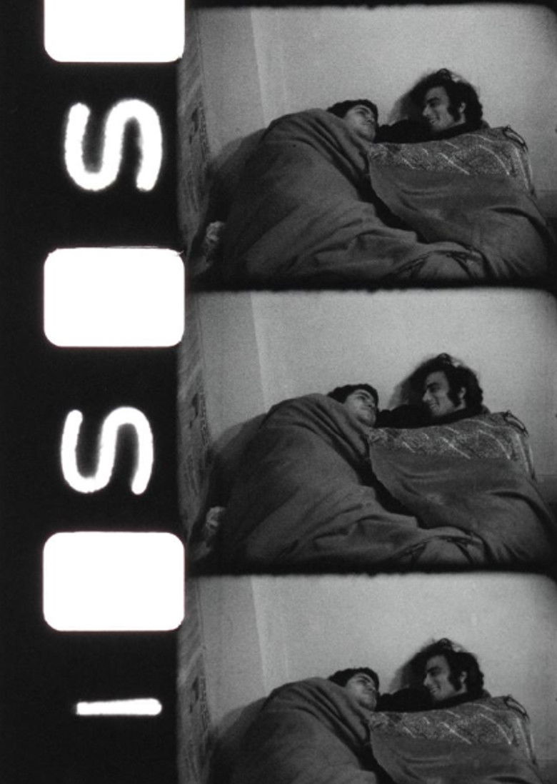 Imatge de 14, Bina Garden