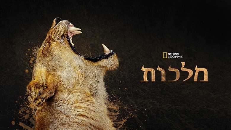 Gallery image from uIrrPJ2R2bxf41PsfJQmoN313kb.jpg