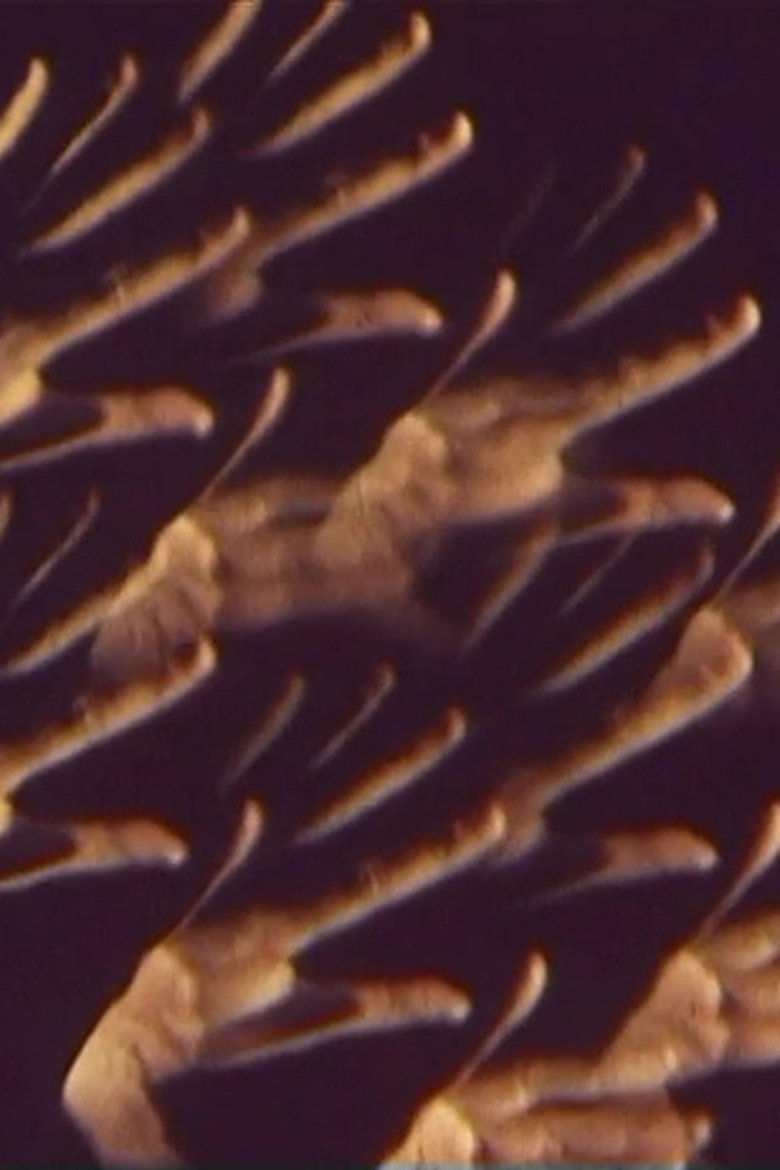 Ballett-Film main poster