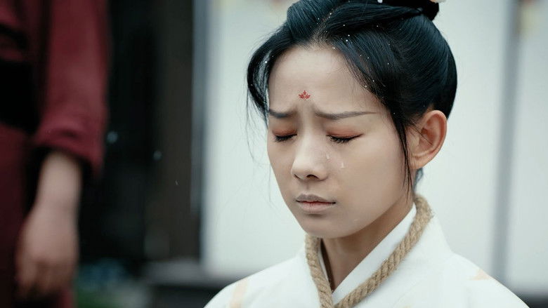 Still image for Reunion as First Sight season 1 episode 16: Episode 16 Still image for Reunion as First Sight season 1 episode 16: Episode 16