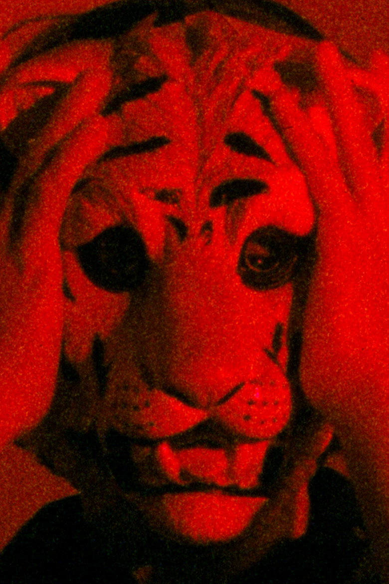 Imatge de The Zero Order