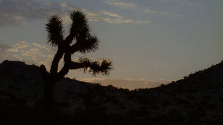 Film backdrop