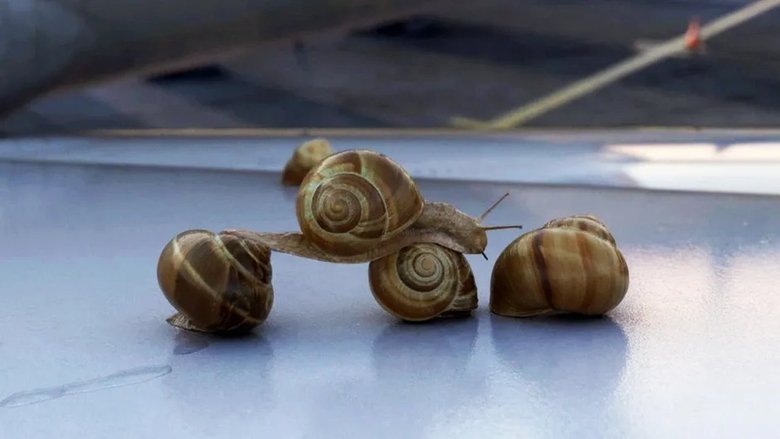 Gallery image from uKyPpAns1QCUIXbNOhCugeEMQ25.jpg