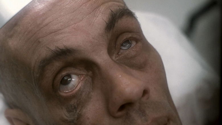 Image d'arrière-plan 9 du film Memoria