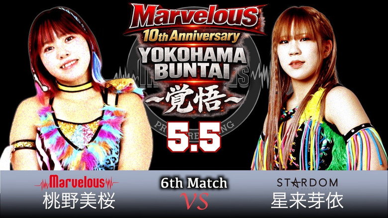 Imatge de Marvelous10周年記念大会