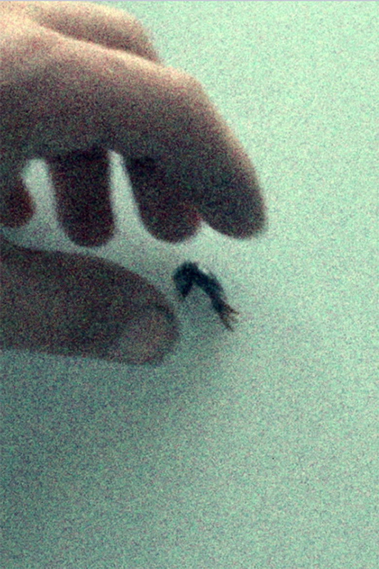 Imatge de Comparative Anatomy