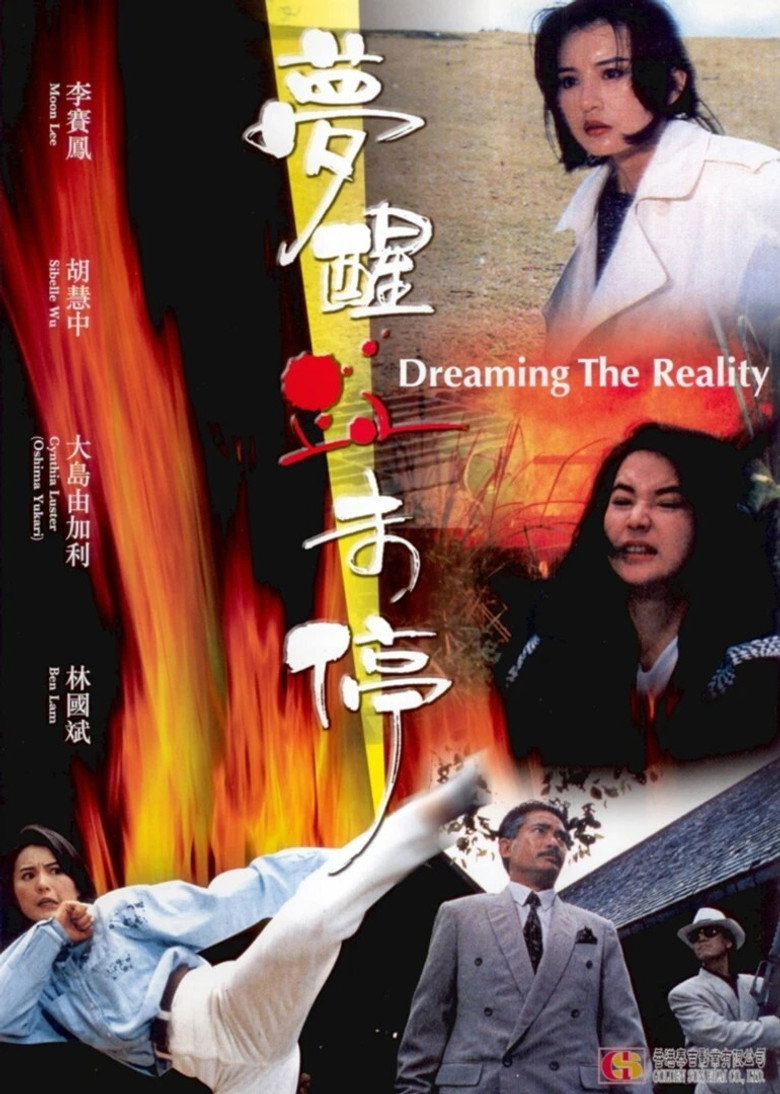 梦醒血未停 封面海报