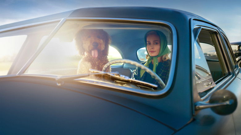 Gallery image from uOKHx05C9lQ5lFOnvUKGcLkd8vY.jpg